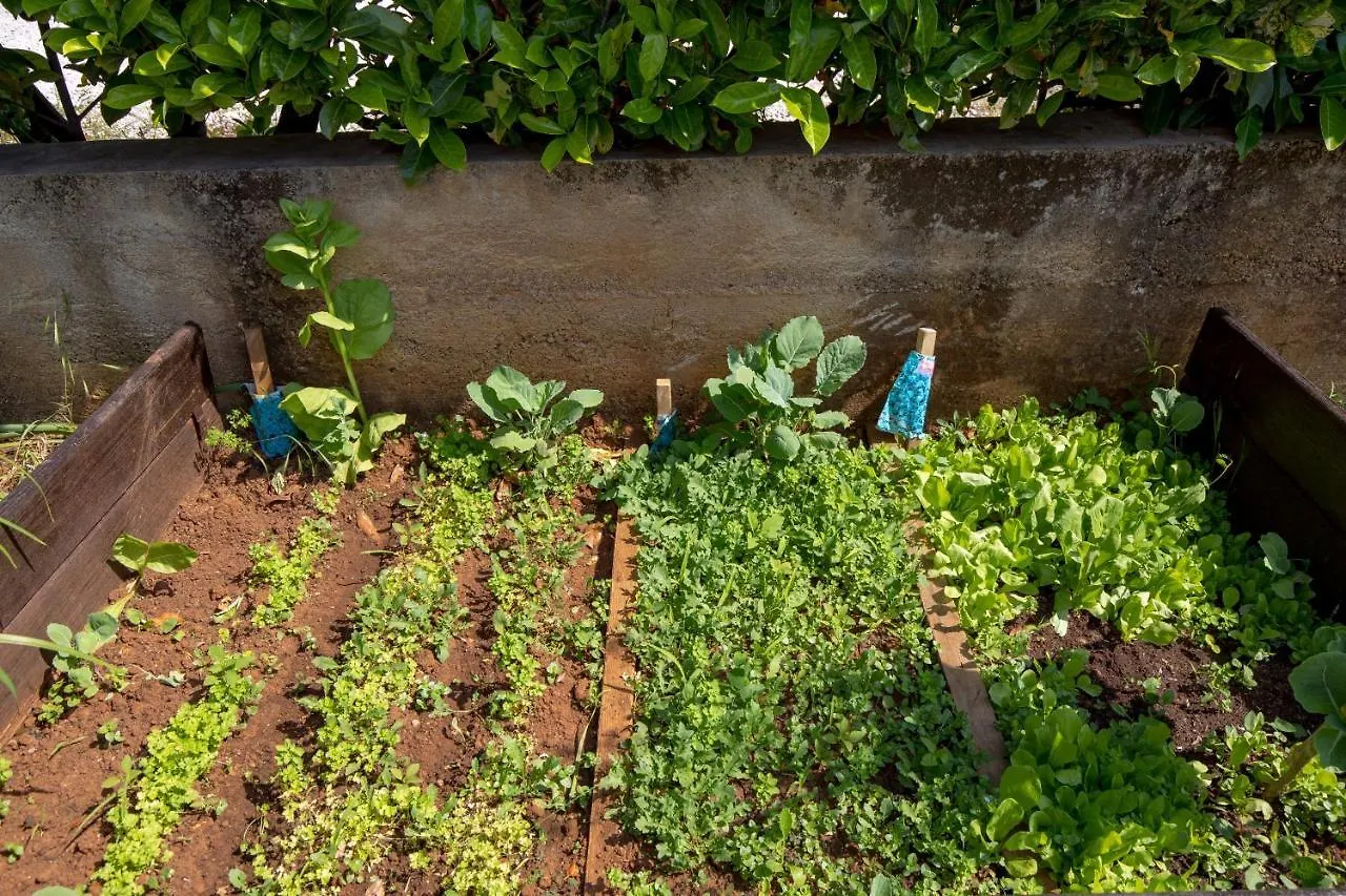 Garden Home Flora Rijeka